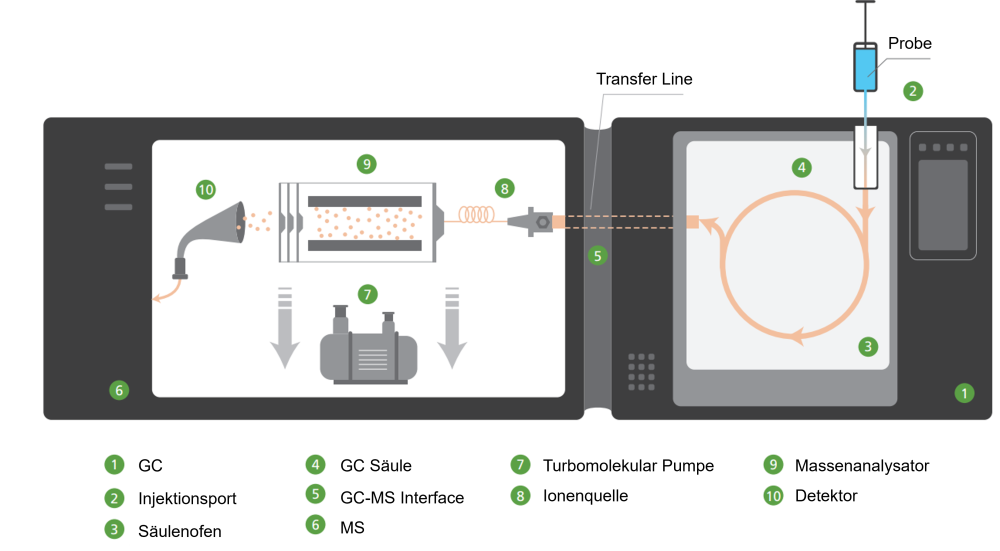 Aufbau GCMS schematisch